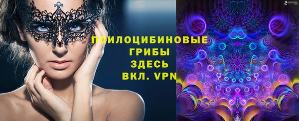 гидропоника Абаза