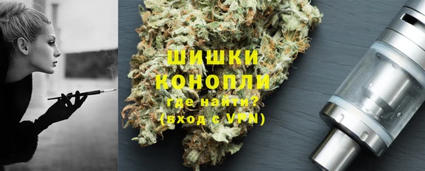 прущие грибы Нефтекумск