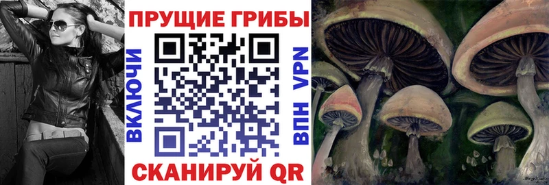 цена   Железноводск  Галлюциногенные грибы прущие грибы 